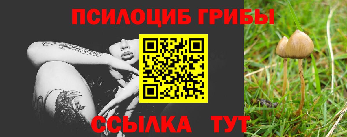 Псилоцибиновые грибы Psilocybe  дарнет шоп  Галлюциногенные грибы прущие грибы  Ялуторовск  Вход с VPN 